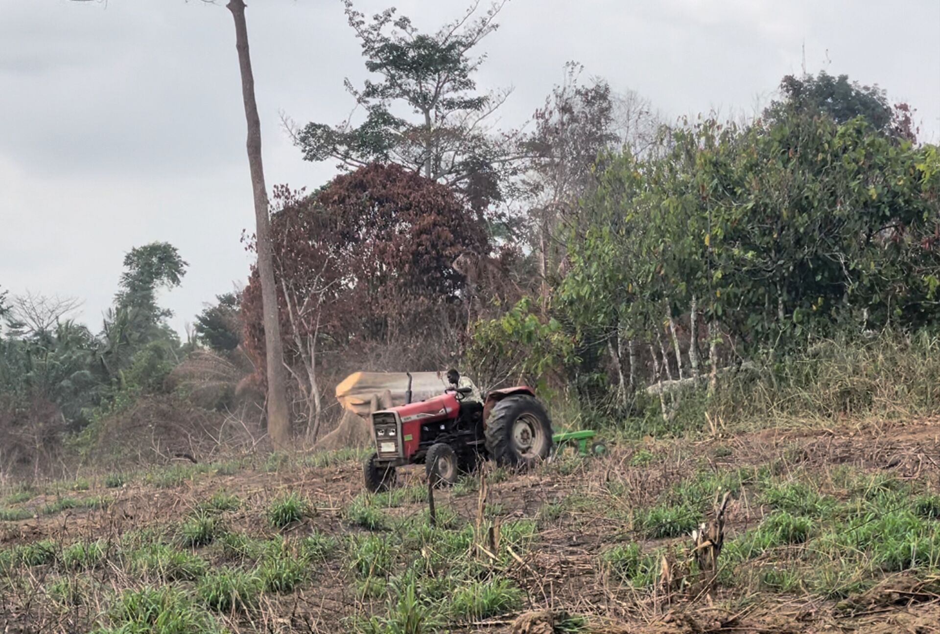 A tractor working a freshly cleared Corngate Farms parcel at the forest edge, Achiase District, Ghana